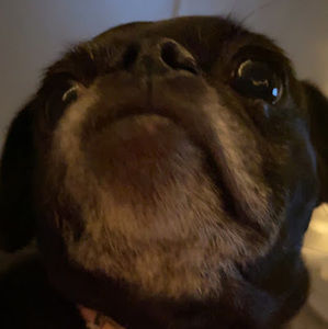 Meet your Posher, Cassie